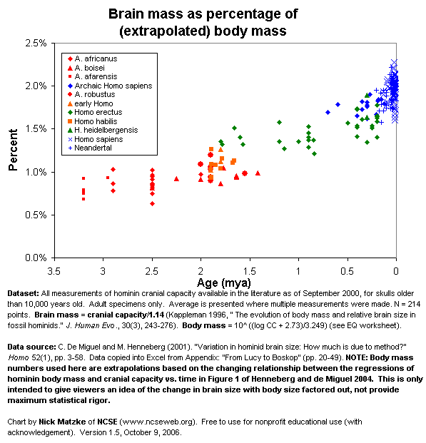 brain mass as a percent of body mass against time